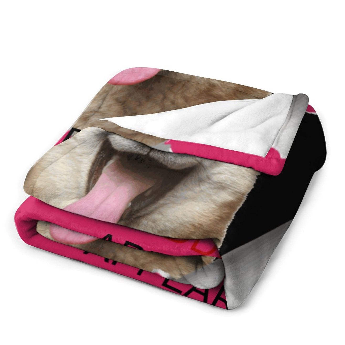 Personalized Dog Blanket with Text , Funny Dog Blanket Gift for Girls Boys - Printgiftyk